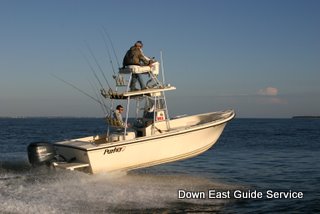 picture of boat used for cobia and false albacore