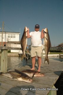Cobia fishing in North Carolina