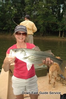 striped bass fishing in North Carolina